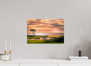 Pebble Beach 17-mile Road