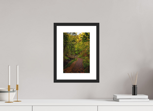 Bridge through the Forest