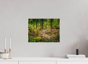 The National Forest of El Yunque