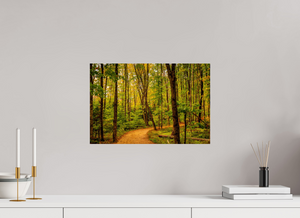 Path to Least Resistance