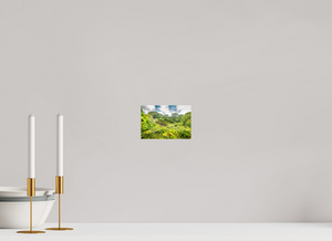 Rainbow Falls Hawaii