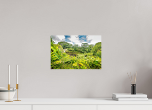 Rainbow Falls Hawaii