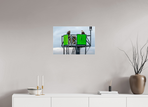 Eagles Standing Watch in Alaska