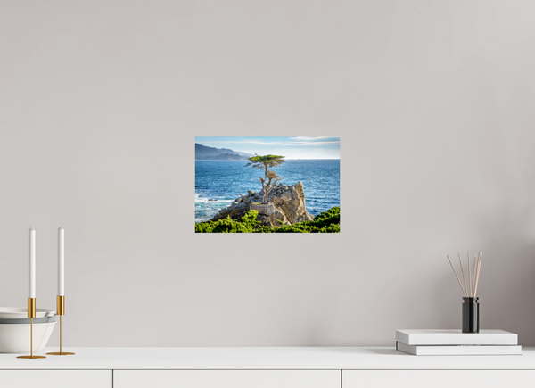 The Lone Cypress