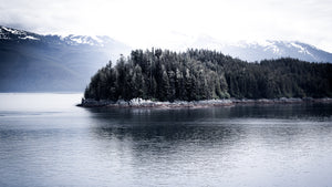 Solitude in the Passage - Large Print