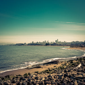 Crissy Field, San Francisco - Large Print