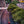 First Turn at Monaco