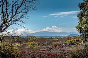 A Volcanic Landscape