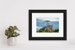 The Lone Cypress stands resilient against the ocean backdrop, symbolizing strength and determination in nature.