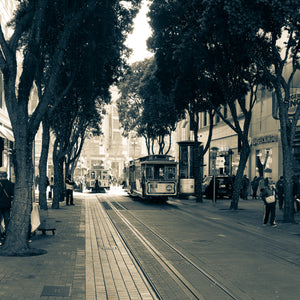 Market Street Trolleys - Large Print