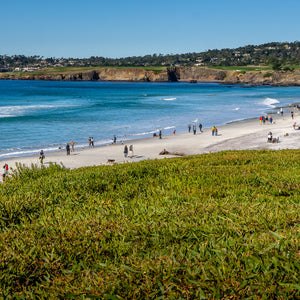 From Carmel to Pebble - Wide-Angle Print
