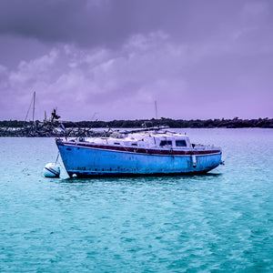 Aftermath in the Harbor