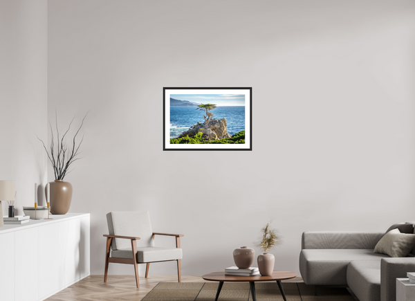 The Lone Cypress