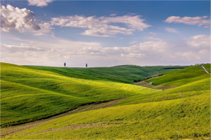 Rolling Hills of Tuscany