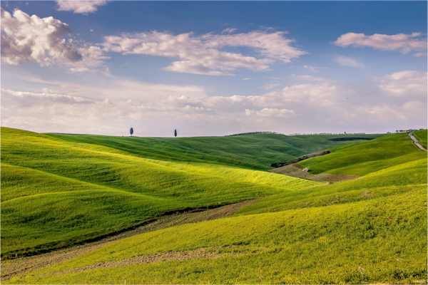 Rolling Hills of Tuscany