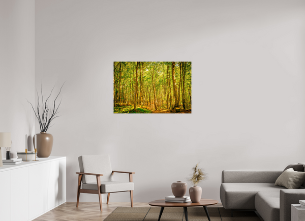 Trees in the Forest
