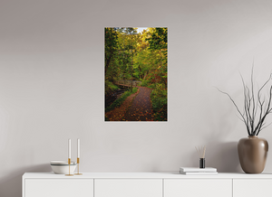 Bridge through the Forest