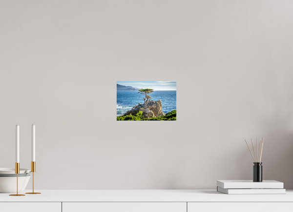 The Lone Cypress