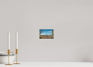 A Volcanic Landscape