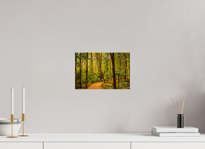 Path to Least Resistance