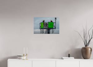 Eagles Standing Watch in Alaska