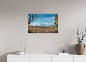 A Volcanic Landscape