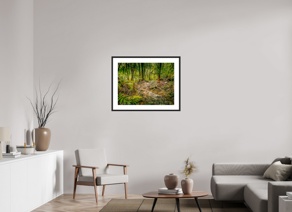 The National Forest of El Yunque