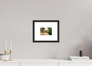 The Grounds of the Palace