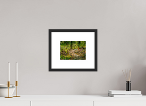 The National Forest of El Yunque