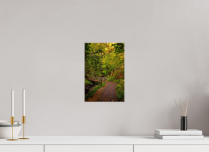 Bridge through the Forest