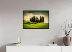 Cypress' in the Dawn