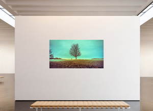 Steadfast in the Wind - Large Print