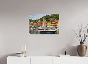 The Portofino Marina