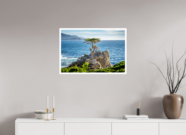The Lone Cypress