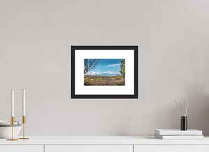 A Volcanic Landscape