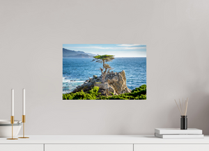 The Lone Cypress stands resilient against the ocean backdrop, symbolizing strength and determination in nature.