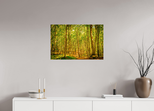 Trees in the Forest