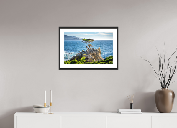 The Lone Cypress