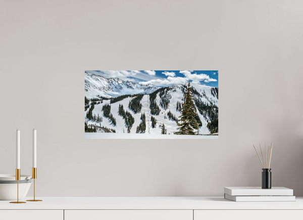 Face of A-Basin