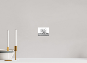 Stunning black-and-white shot of the Winter Sentinel of Grand Haven, showcasing winter's quiet beauty.