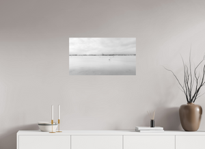 Swans on a Frozen River