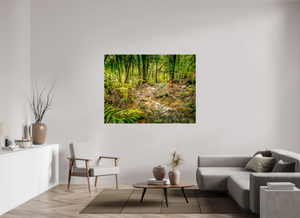 The National Forest of El Yunque