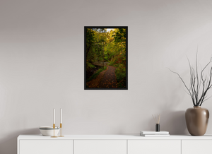 Bridge through the Forest