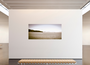 San Francisco Skyline