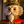 The Nutcracker