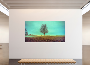 Steadfast in the Wind - Large Print