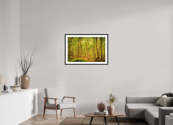 Trees in the Forest