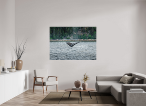 Graceful Entry - Large Print