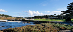 Cypress from 17-mile Drive - Large Print