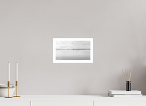 Swans on a Frozen River